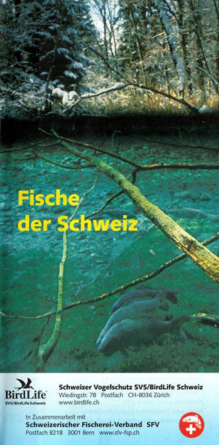 Broschüre «Fische der Schweiz»